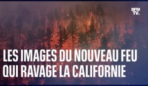 En Californie, le plus vaste incendie de l'année a déjà brûlé plus de 20.000 hectares