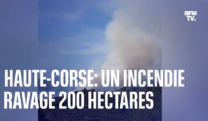 Haute-Corse: un incendie ravage près de 200 hectares près de Saint-Florent