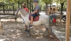 « On fait du business sur le dos des animaux » une association veut faire interdire les balades à poney dans les parcs parisiens