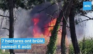 Feu de forêt au Mans : la zone incendiée la veille est encore sur surveillance