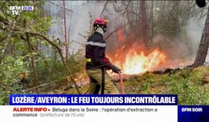 Incendies: en Lozère et dans l'Aveyron, les feux toujours incontrôlables