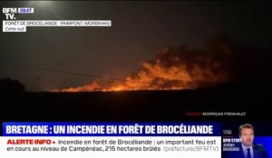 Incendie dans le Morbihan: les images du feu dans la forêt de Brocéliande