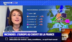 Incendies: 4 Canadair européens sont déjà arrivés en France, 2 autres italiens sont attendus ce midi