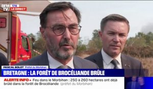 Incendie dans la forêt de Brocéliande: "250 à 260 hectares ont brûlé", affirme le préfet du Morbihan