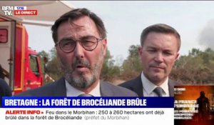 Incendie dans la forêt de Brocéliande: "Pour l'instant, le feu est contenu aux deux-tiers", selon le préfet