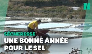 Grâce à la sécheresse, vers une récolte de sel « record » en France