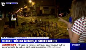 Des orages violents et des pluies diluviennes s'abattent sur Paris