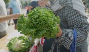 «Ici c'est moins cher» : le marché solidaire, des fruits et légumes au juste prix «c'est possible»