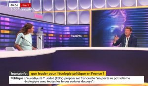 Européennes : si les partis de la Nupes font liste commune, "on va faire moins d'élus", assure Yannick Jadot