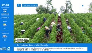 06/09/2022 - Le 6/9 de France Bleu Bourgogne en vidéo