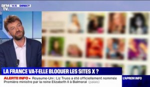 Les sites pornographiques vont-ils être bloqués en France?