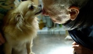 Philippe, 95 ans, le vétérinaire des animaux des stars exerce toujours