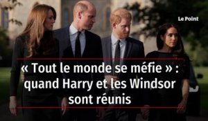 « Tout le monde se méfie » : quand Harry et les Windsor sont réunis