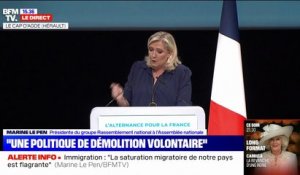 Marine Le Pen: "Si je quitte la présidence du RN, je ne renonce pas au combat politique"