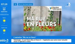 Nantes : l'opération " Ma rue en fleurs " égaiera encore cette année les rues de la métropole