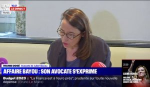 Marie Dosé, l'avocate de Julien Bayou: "Il avait conscience de la fragilité psychologique de sa compagne"