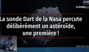 La sonde Dart de la Nasa percute délibérément un astéroïde, une première !