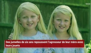Des jumelles de six ans repoussent l’agresseur de leur mère