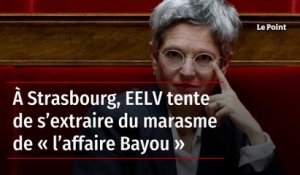 À Strasbourg, EELV tente de s’extraire du marasme de « l’affaire Bayou »