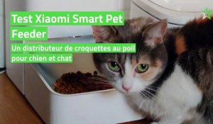 Test Xiaomi Smart Pet Feeder : un distributeur de croquettes au poil pour chien et chat