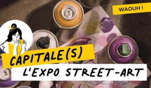 Street-art à Paris : découvrez l'expo « CAPITALE(S) » | Que faire à Paris ?  | Ville de Paris