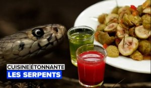 Cuisine étonnante : les serpents