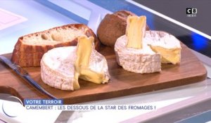 Votre terroir : Camembert, les dessous de la star des fromages !