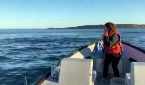 Ces touristes vont avoir une belle surprise en mer : des baleines sautent à quelques mètres du bateau