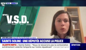 Sainte-Soline: cette députée affirme avoir été "bousculée et frappée par les forces de l'ordre"