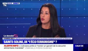 Karima Delli: "L'écologie est forcément radicale, parce qu'elle veut un autre modèle"