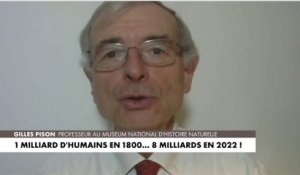 Gilles Pison : «Le gros de la croissance démographique mondiale est déjà derrière nous»