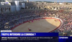 Faut-il interdire la corrida ? Le projet de loi qui fait débat