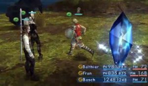 Final Fantasy XII online multiplayer - ps2