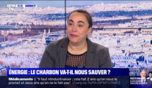 Réouverture de la centrale à charbon de Saint-Avold: "On est à contre-temps de l'Histoire", estime la députée EELV Sabrina Sebaihi