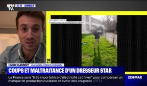 Hugo Clément dénonce des actes de maltraitance du dresseur star du cinéma Pierre Cadéac