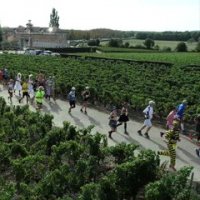 Bande annonce film officiel Marathon du Medoc 2022