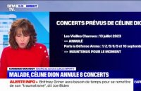 Atteinte du "syndrome de l'homme raide", Céline Dion annule 8 concerts en France dont les Vieilles Charrues