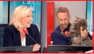 Marine Le Pen hilare : Philippe Caverivière débarque avec… son chat en direct !