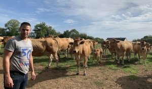 Mathieu Crouin, jeune éleveur (Manche) : « Des producteurs de viande, il en faut ! »