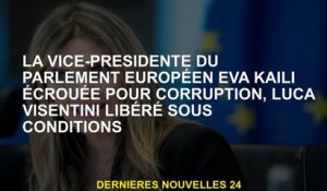 Le vice-président du Parlement européen Eva Kaili a emprisonné pour corruption, Luca Visentini libér