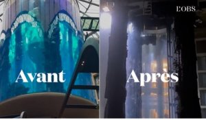 Un aquarium géant éclate à Berlin, deux blessés