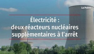 Électricité : deux réacteurs nucléaires supplémentaires à l'arrêt
