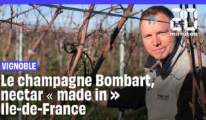Vignoble : du champagne « made in » Ile-de-France