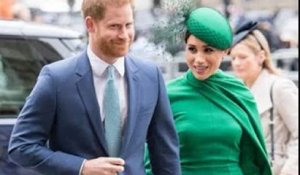 La famille royale révèle ses relations avec le prince Harry : les internautes l’attaquent
