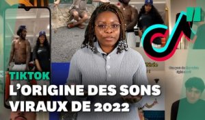 Céline Dion, Coco et le Flambeau.… Ces sons devenus viraux sur TikTok en 2022