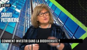 SMART PATRIMOINE - Emission du mercredi 4 janvier