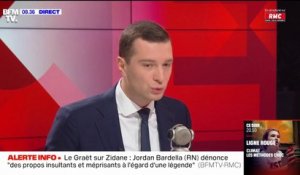 Affaire Michel Houellebecq: Jordan Bardella dénonce des "propos excessifs"