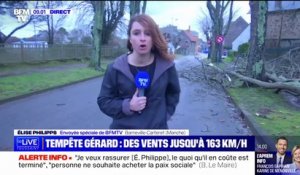 Tempête Gérard: des vents jusqu'à 163 km/h dans la Manche ont provoqué la chute d'arbres