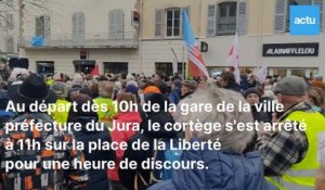 À Lons-le-Saunier, revivez la manifestation pour la défense de l'hôpital jurassien