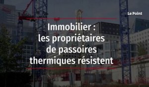 Immobilier : les propriétaires de passoires thermiques résistent